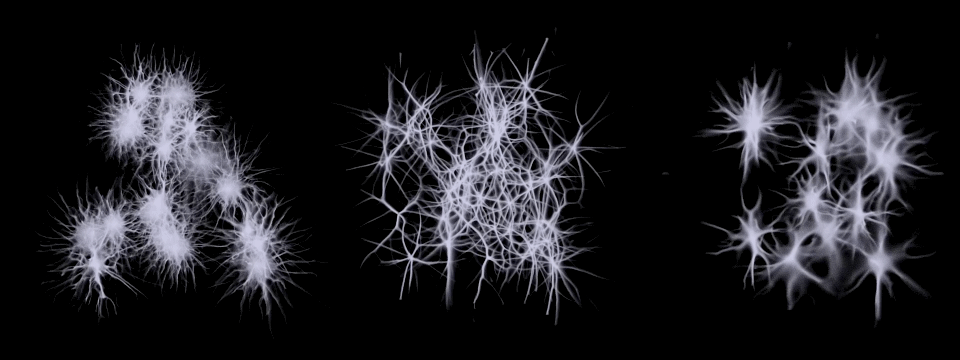 part 3 animation neurons 